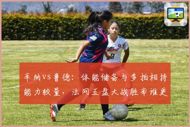 辛纳vs鲁德：体能储备与多拍相持能力较量，法网五盘大战胜率谁更高