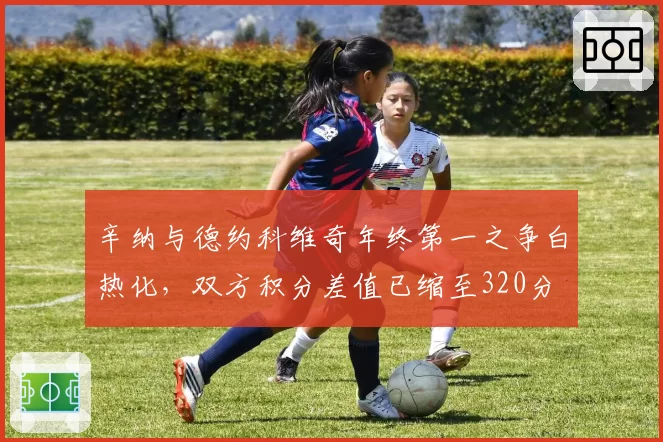 辛纳与德约科维奇年终第一之争白热化，双方积分差值已缩至320分